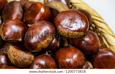 Chestnut fruit background