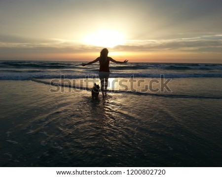 unique amazing pregnancy sunset pictures at the beach
