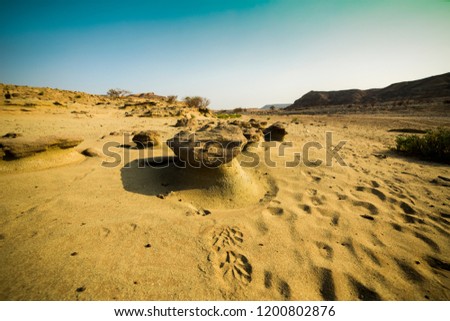 Arabian desert landscapes