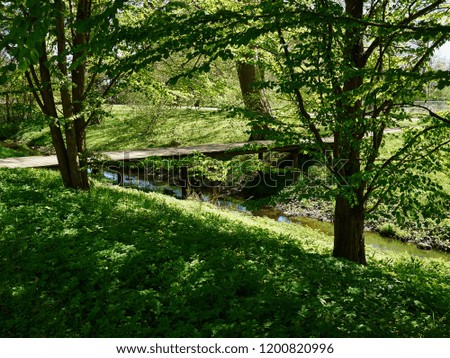 Small beautiful brook stream river in a green lush forest nature background