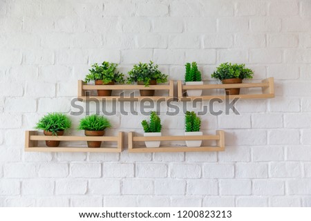 small plant pots placed on wooden shelf on white brick wall. Royalty-Free Stock Photo #1200823213