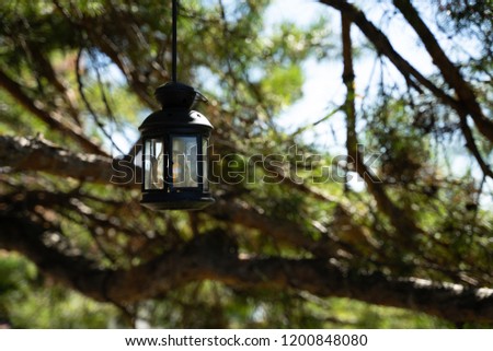Decorative outdoor lamp light hanging on tree in the garden daylight