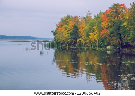 City Riga, Latvia, autumn.  Jugla lake and park, yellow trees and leaves. Travel nature photo 2018.