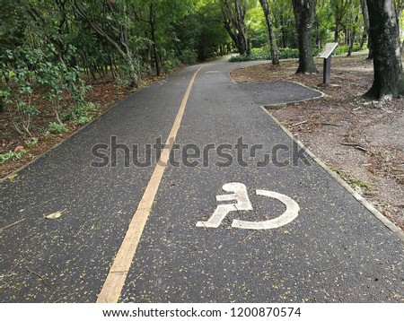 Disability wheelchair sign Priority lane in the park