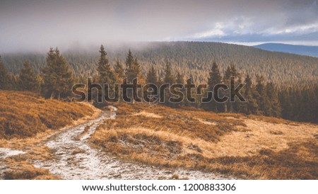 Autumn mountain landscape with mist and trees. Czech Republic, Jeseníky mountains.