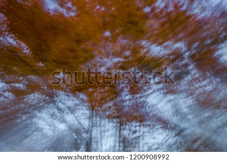 autumn. photos using low shutter speed and shake.  intentional camera movement
