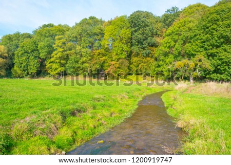 Trees in autumn colors along a stream in a meadow in sunlight at fall
