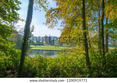 Trees in autumn colors along a stream in a meadow in sunlight at fall

