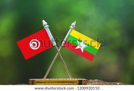 Myanmar and Tunisia small flag with blur green background