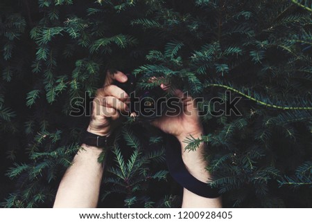 Man hidden in dark of conifer tree, holding camera in his hands and taking pictures