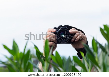 Man taking pictures from behind the bushes, camera in his hands