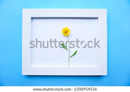 Yellow flowers are in white frame and have a blue background.
