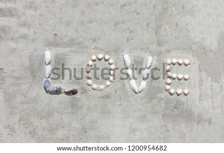Shell letters make word Love on cement wall background in sunny day