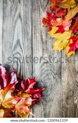 red yellow autumn leaves on wooden background
