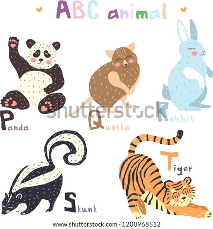 Vector hand drawn cute abc alphabet animal colorful scandinavian design, panda, quokka, rabbit,skunk, tiger