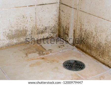 Lichen stains occur from some types of mold in uncleaned bathroom and look dirty. These stain will spread to other part in the room include drain sink  and stick to the tile with different color. Royalty-Free Stock Photo #1200979447