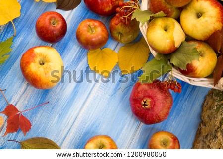Autumn bright background. Flowers, leaves and fruits on a blue wooden background. Background for the autumn holidays and thanksgiving day.