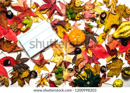 Moody autumn background picture with colorful leaves, pumpkins, chestnuts with white blank light box with free space for message as template