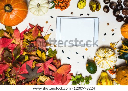 Moody autumn background picture with colorful leaves, pumpkins, chestnuts with white blank tablet with free space for message as template