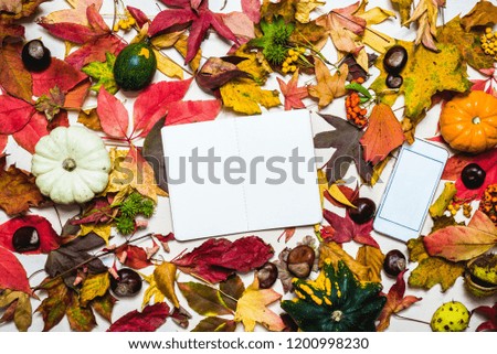 Moody autumn background picture with colorful leaves, pumpkins, chestnuts with white blank notepad and phone with free space for message as template