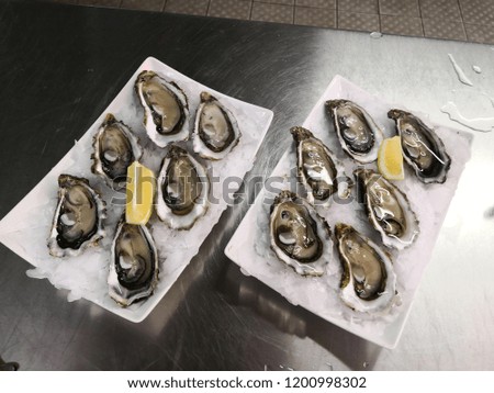 Oysters on the half shell served at market with crushed ice and lemon