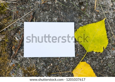 blank for visual presentation of design for business card