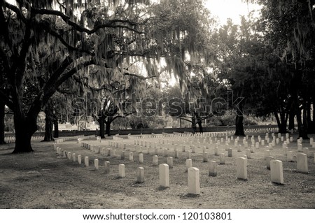 Tombstones at Beaufort National Cemetery in South Carolina.  Set in Black and white.