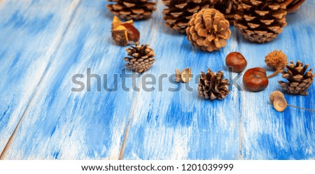 Brown cones on a blue background. New Year, Christmas and autumn background. Natural country style. Minimalism
