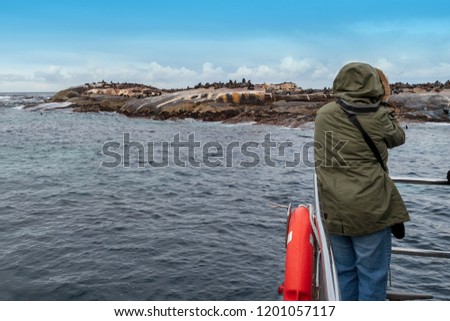 A tourist on an excursion boat taking pictures of the seal colony near Hout Bay in South Africa. The colony is a big tourist attraction on the Cape Peninsula in South Africa. 