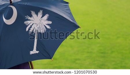 South Carolina state flag umbrella. Closeup of a printed umbrella over green field/lawn background. Rainy weather / climate change and global warming concept.