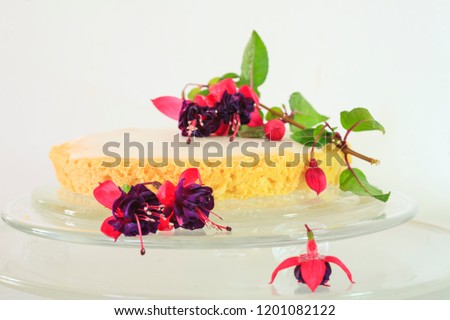 Microwave sponge decorated with layers of fuchsia flowers
