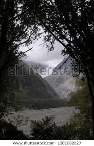 this is a picture of fox glacier from the park nearby. the trees are for framing