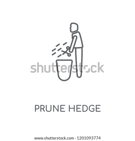 Prune Hedge linear icon. Prune Hedge concept stroke symbol design. Thin graphic elements vector illustration, outline pattern on a white background, eps 10.