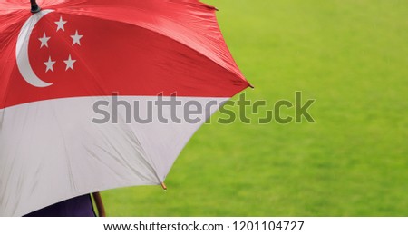 Singapore flag umbrella. Closeup of printed umbrella over green grass field background. Landscape, side view. Rainy weather/ climate change and global warming concept.