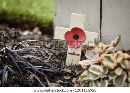 Closeup of a remembrance poppy on a wooden cross