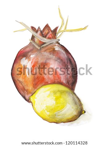 Pomegranate and lemon fruits isolated - handmade acrylic painting illustration on a white paper art background