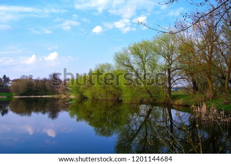 Spring landscape. Pond and trees.