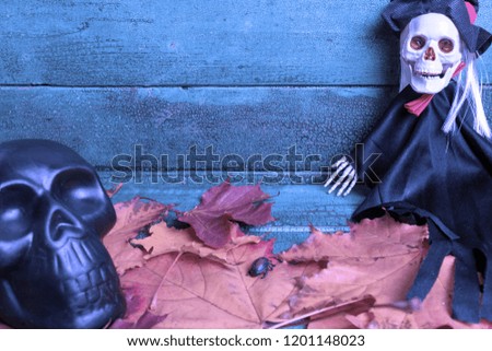 Skeleton witch and black skull over autumn leaves on wooden background, toned in blue. Halloween concept.