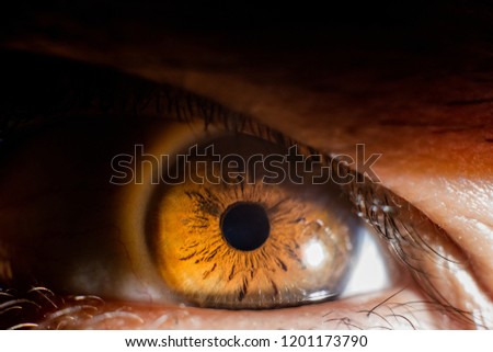 eyes close up macro blue brown iris dark proxy photography