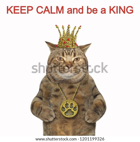 The cat is wearing a crown and a locket. Keep calm and be a king. White background.