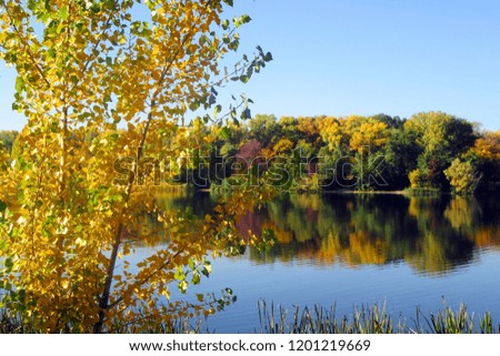 Autumn landscape - river with autumn golden trees at the bank. Autumn colorful forest nature.