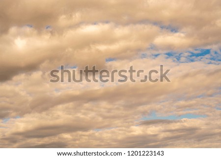 Beautiful and gentle evening clouds in the blue sky, texture and background for design.