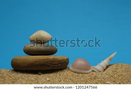 Pile of beach pebbles with two sea shells on sea sand against a blue sky background.