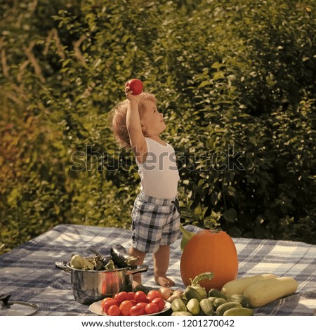 One little smiling boy at picnic with ladle holding red tomato standing near pot orange pumpkin squash and cucumber on checkered plaid on natural background sunny day, square picture