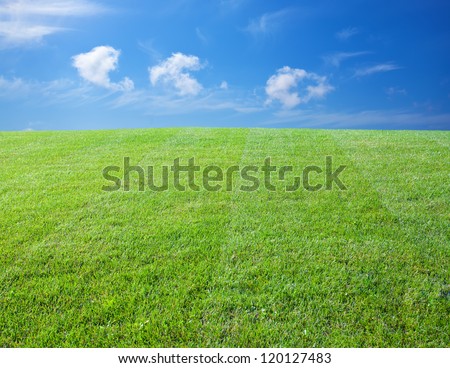 Green lawn with blue sky. Green lawn background. Nature landscape background. Green grass texture. Spring landscape in sunny day. Royalty-Free Stock Photo #120127483