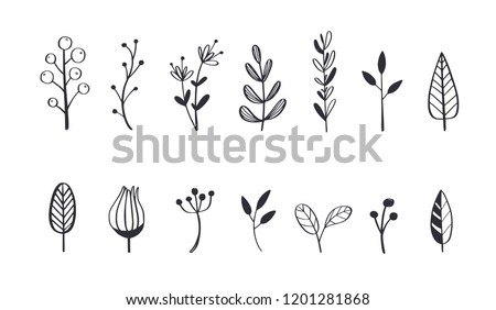 Herbal tea and floral doodle set. Vector hand drawn botanical illustration. Isolated objects on white Royalty-Free Stock Photo #1201281868