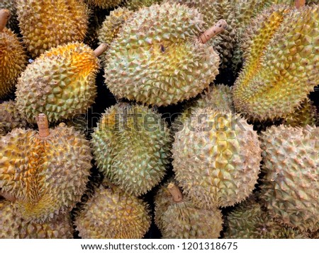 Durian is the King of fruit.It has intense odor but Its flavor making people hate and loving it