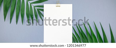 Creative top view mock up blank paper sheet postcard clipboard tropical palm leaves blue grey paper background copy space. Minimal tropical palm leaf plants summer concept template Long wide banner