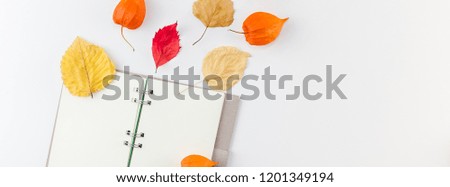 Creative Top view flat lay autumn composition. Notebook dried orange flowers leaves background copy space. notepad mockup fall harvest thanksgiving halloween invitation cards Long wide banner