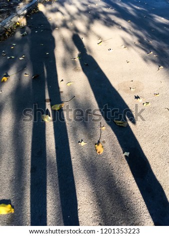 The shadows of people on the ground with yellow fall leaves.